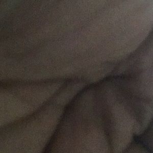 Meet your Posher, Rodney